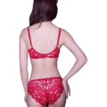 Elegant Red Lace Bra & Panty Set For Women In Pakistan